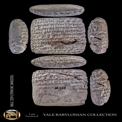 Tablet. Letter concerning barley rations. Late Old Babylonian. Clay. Ze'pum.; YPM BC 000235