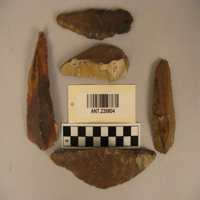 <bdi class="metadata-value">5 Natufian flint saws. Ca. 3,000 B.C. Egypt.; YPM ANT 239804</bdi>