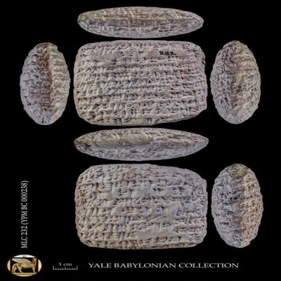 Tablet. Letter concerning scarcity of foodstuffs during siege. Late Old Babylonian. Clay.; YPM BC 000238