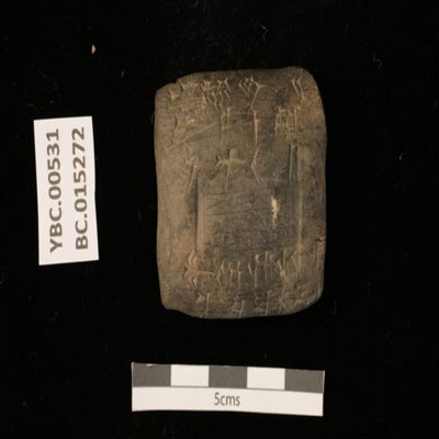 Tablet. Delivery of reed. Ur III. Clay.; YPM BC 015272
