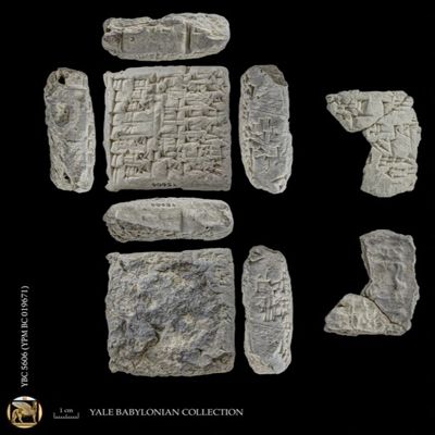 Tablet; tag pierced for suspension. Disbursement of sheep to temples and others. Early Old Babylonian. Clay. Two unrelated fragments in box.; YPM BC 019671
