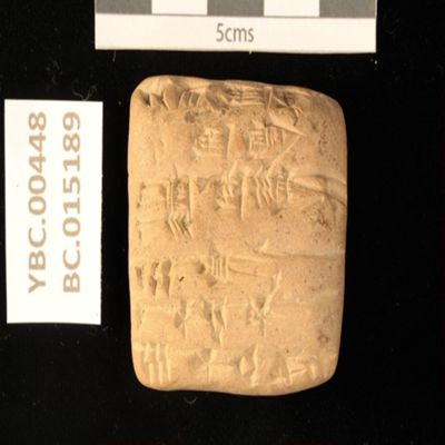 Tablet. Account of small cattle. Ur III. Clay.; YPM BC 015189