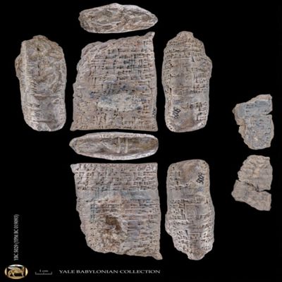 Tablet and fragment of case. Sale of orchard. Old Babylonian. Clay. Witnessed.; YPM BC 019093