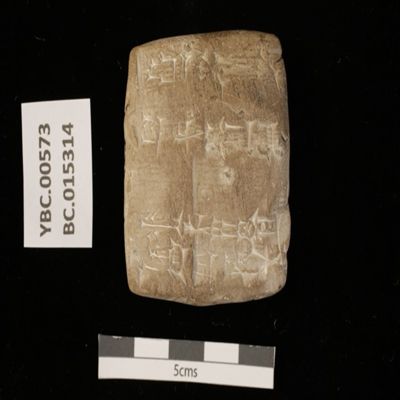 Tablet. Record concerning reed for sheep fodder. Ur III. Clay.; YPM BC 015314