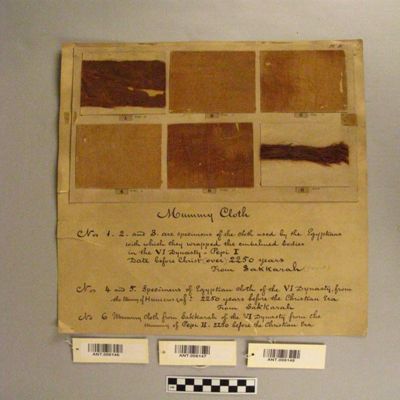 <bdi class="metadata-value">(6 Plate I) Mummy cloth VI Dyn. from the Mummy of Pepi II. Sakkarah B.C. 2250 yrs. Egypt.; YPM ANT 006148</bdi>