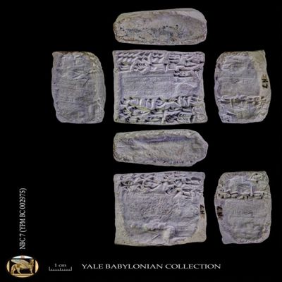 Unopened case. Record concerning a sale of sheep. Ur III. Clay.; YPM BC 002975