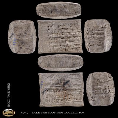 Unopened case. Promissory note--barley. Old Babylonian. Clay.; YPM BC 018342