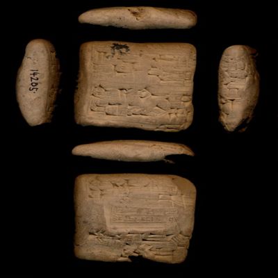 Tablet. Wood brought to the e$utum. Ur III. Clay.; YPM BC 027622