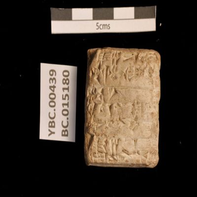 Tablet. Record concerning barley rations. Ur III. Clay.; YPM BC 015180