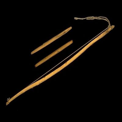 <bdi class="metadata-value">1 Fire drill, made of spruce wood and cotton cord, fire made by twirling sticks accompanying bow in piece of soft wood, made by Willy Cigar at Lower Post, BC, Kistagodena, N Athapaskan; YPM ANT 059053</bdi>