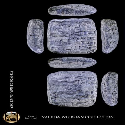 Tablet. Wood for the mar-sa; $ara-izu. Ur III. Clay.; YPM BC 026952