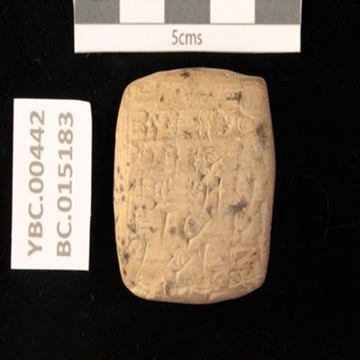 Tablet. Record concerning barley for donkey fodder. Ur III. Clay.; YPM BC 015183