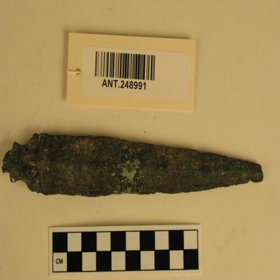 Bronze blade. Badly corroded yet retains evidence of tiny ridges parallel to blade edge. Tang is stepped for secure hafting. Fastening pins locked in positions by verdigris. Date: first millennium B.C.? Length 7' (18cm); 1 1/4' (3cm) Near East?; YPM ANT 248991