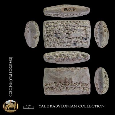 Tablet. Withdrawal of silver, the price of gold. Neo-Babylonian. Clay.; YPM BC 033863