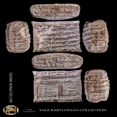 Tablet. Loan of barley. Late Old Babylonian. Clay. Witnessed.; YPM BC 000229
