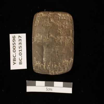 Tablet. Record concerning work time of guru$ at the mar-sa. Ur III. Clay.; YPM BC 015337
