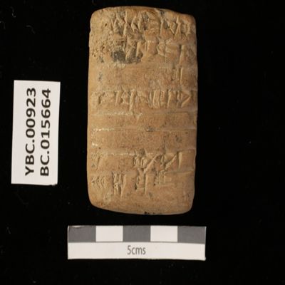 Tablet. Wool account of Lu-inimgina. Ur III. Clay.; YPM BC 015664
