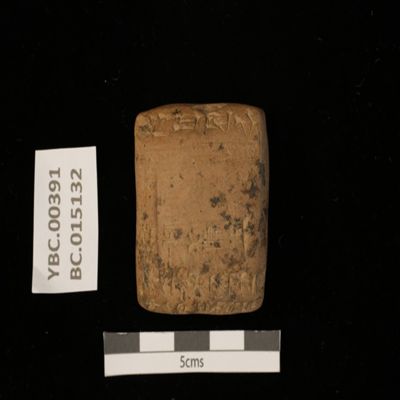 Tablet. Record concerning cut reed to be transported. Ur III. Clay.; YPM BC 015132