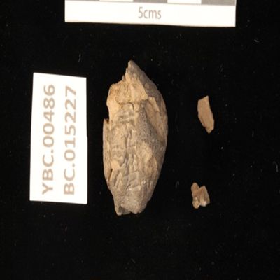 Bulla. Record of goat. Old Babylonian. Clay.; YPM BC 015227