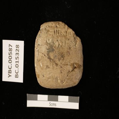 Tablet. Transfer of barley. Ur III. Clay.; YPM BC 015328