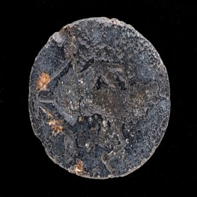 Amulet. Ob: Horus on lotus; Rev: Letters? Corroded. Black stone.; YPM BC 038589