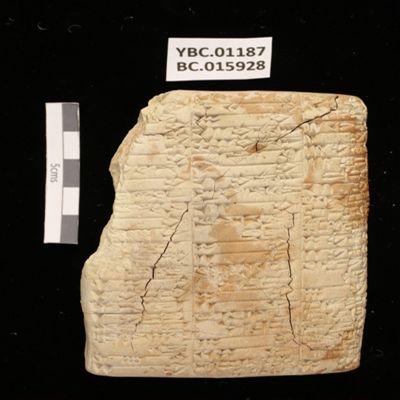 <bdi class="metadata-value">3 column tablet. Record concerning disbursement of cattle to various officials. Ur III. Clay.; YPM BC 015928</bdi>