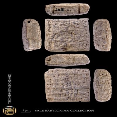Tablet; tag pierced for suspension. Disbursement of sheep to temples and others. Early Old Babylonian. Clay.; YPM BC 024042
