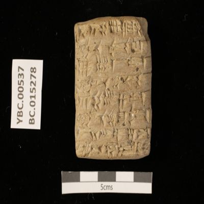 Tablet. Inventory of cereals in granary. Ur III. Clay.; YPM BC 015278