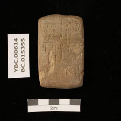Tablet. Record concerning agricultural work. Ur III. Clay.; YPM BC 015355