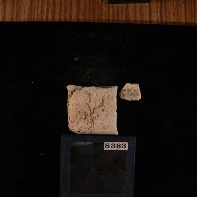 Tablet and portion of case. Loan of barley. Early Old Babylonian. Clay.; YPM BC 022448