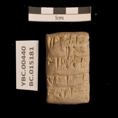 Tablet. Record concerning barley rations. Ur III. Clay.; YPM BC 015181