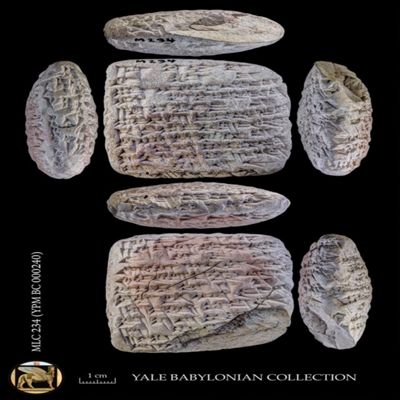 Tablet. Letter concerning disbursement of small cattle. Late Old Babylonian. Clay. Ze'pum.; YPM BC 000240