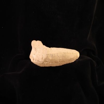 Liver model. Liver omen. Old Babylonian. Clay.; YPM BC 023830