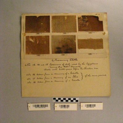 <bdi class="metadata-value">(17 Plate III) Mummy [cloths from an] Ibis - XII Dyn. Not over 2100 years B.C. Egypt.; YPM ANT 006151</bdi>