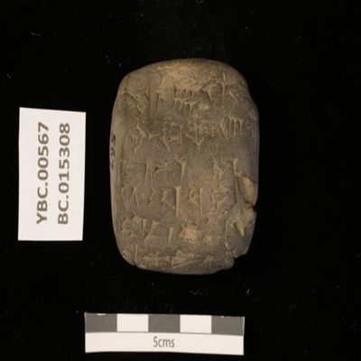 Tablet. Transfer of reeds. Ur III. Clay.; YPM BC 015308