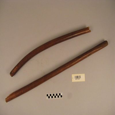 <bdi class="metadata-value">1 Broken walking stick, said to be pre-3000 BC, Egypt.; YPM ANT 144167</bdi>