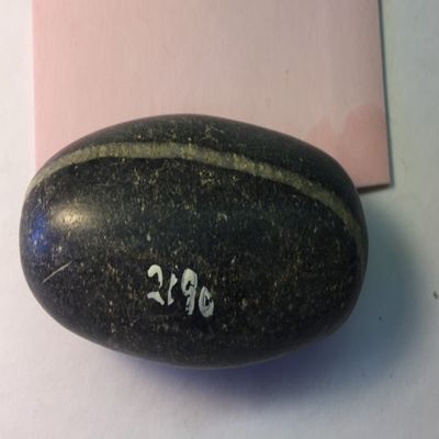 Weight. Oblongstone weight, light gray line in thestone. Diorite, speckled dark and light gray.; YPM BC 016824