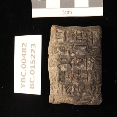 Tablet--tag pierced for suspension. Tag for tablet basket (pisan-dub-ba). Ur III. Clay.; YPM BC 015223