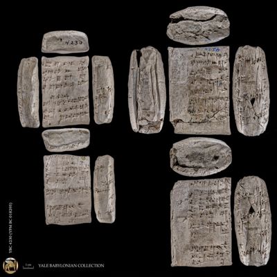 Tablet and case. Receipt of fish. Old Babylonian. Clay. Witnessed.; YPM BC 018295