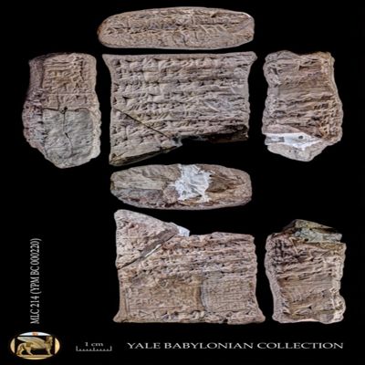 Tablet. Rental of orchard. Late Old Babylonian. Clay. Witnessed.; YPM BC 000220