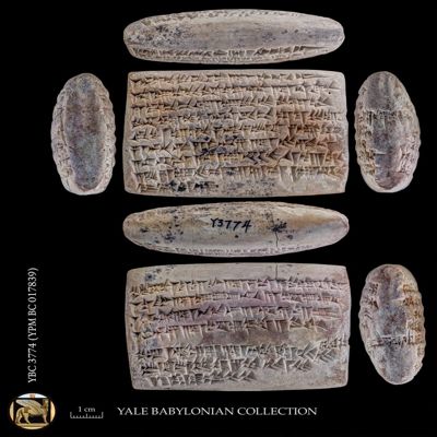 Tablet. Witnessed declaration to Eanna authorities concerning shepherding. Early Achaemenid. Clay. Witnessed.; YPM BC 017839