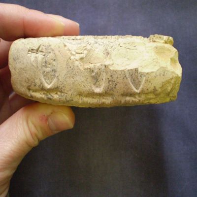 Tablet. Sale of right to temple rations. Hellenistic. Clay. Witnessed.; YPM BC 002119