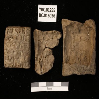 Tablet and case. Loan of barley. Ur III. Clay.; YPM BC 016036
