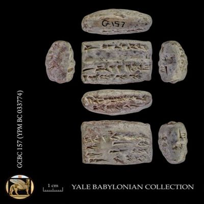 Tablet. Withdrawal of wool by PN. Neo-Babylonian. Clay.; YPM BC 033774