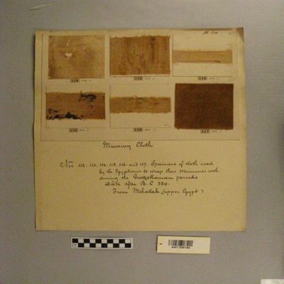 <bdi class="metadata-value">6 Mummy cloth (112-117 Pl.20) Greek- Roman periods. After B.C. 330. From Mehallah (Upper Egypt.) Egypt.; YPM ANT 006180</bdi>