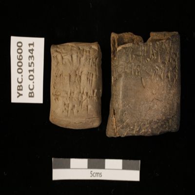Tablet and case. Regular delivery of barley for the god $ara. Ur III. Clay.; YPM BC 015341