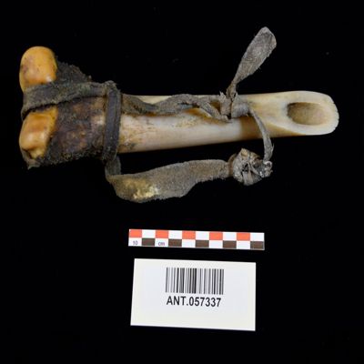 <bdi class="metadata-value">1 Feather, tanning tool made of bone, moose hide hand strap looped at one end, other end sharpened and notched, L. 9', Fort Nelson, BC, Slave, N Athapaskan; YPM ANT 057337</bdi>