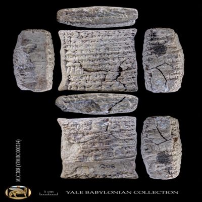 Tablet. Legal case concerning stolen cattle. Late Old Babylonian. Clay.; YPM BC 000214