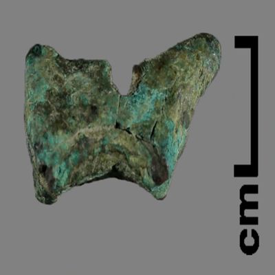 Figurine. Small quadruped. Bronze.; YPM BC 031168