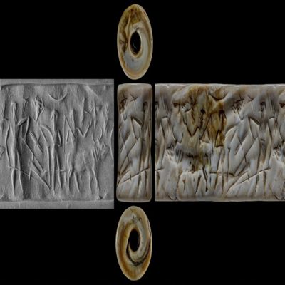 Cylinder seal. Plowing scene; ox drawing plow, man guiding plow, second man with seed feeder? beside plow, third man with whip behind ox; star, scorpion, crescent, and four birds in field. Akkadian. White/light brown aragonite (shell).; YPM BC 008971